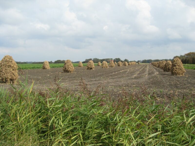 Fietsen in Zeeland