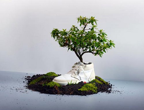 oat-eco-sneakers Oat Eco Sneakers