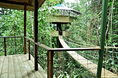 Finca-Bellavista-Treehouse-Community Finca Bellavista Treehouse Community