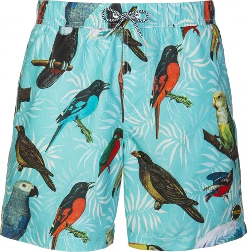 shiwi birds zwemshort